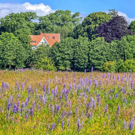 Elfenwiese Gluecksburg